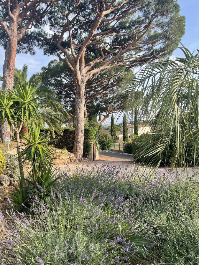 Paradis Provencal Sainte-Maxime Esterno foto