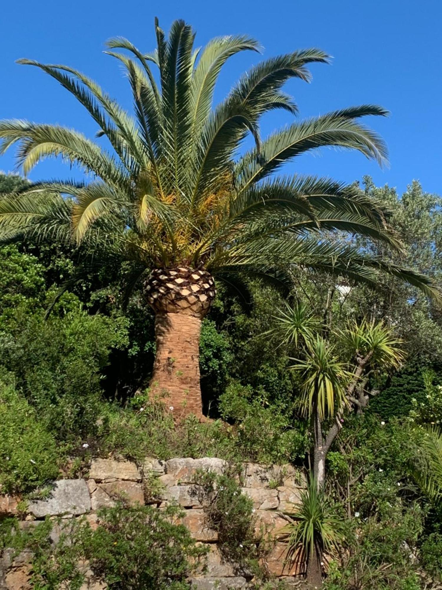 Paradis Provencal Sainte-Maxime Esterno foto